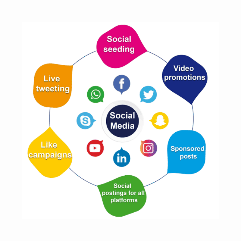 social media & marketing